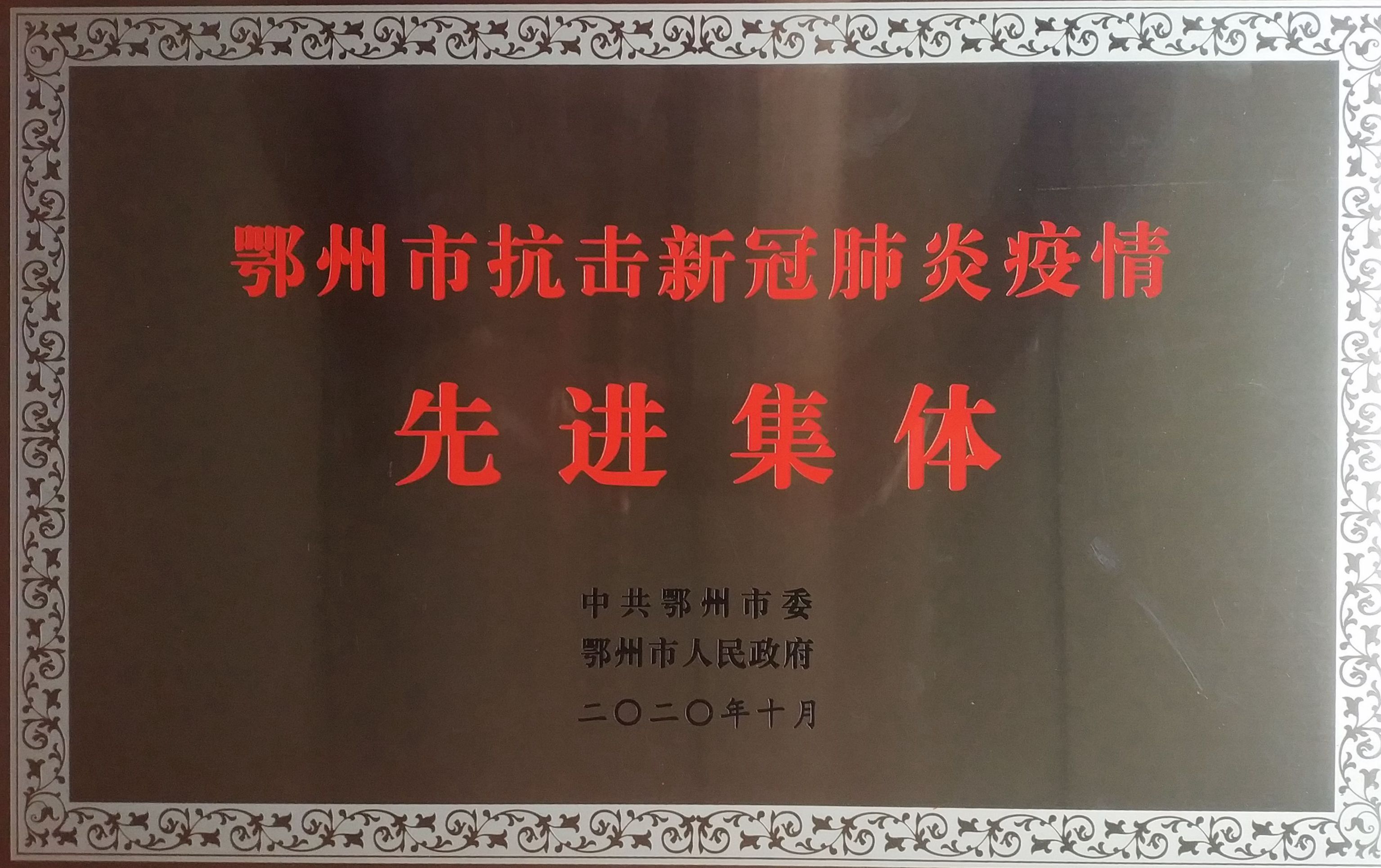 大通公司荣获“鄂州市抗击新冠肺炎疫情先进集体”